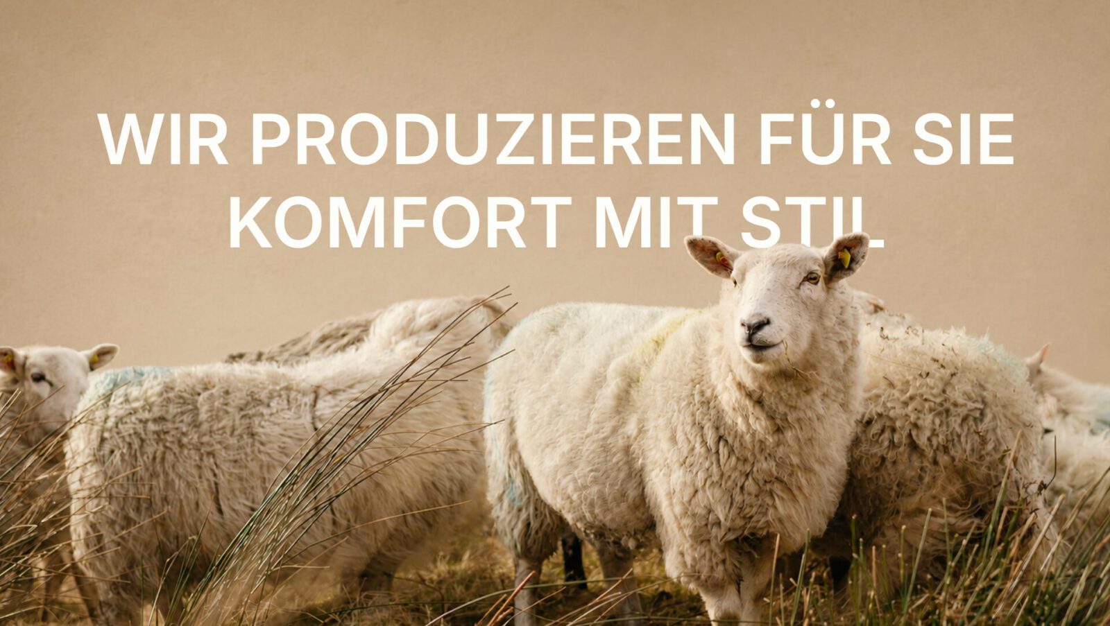 Wolldecken und Wollplaids