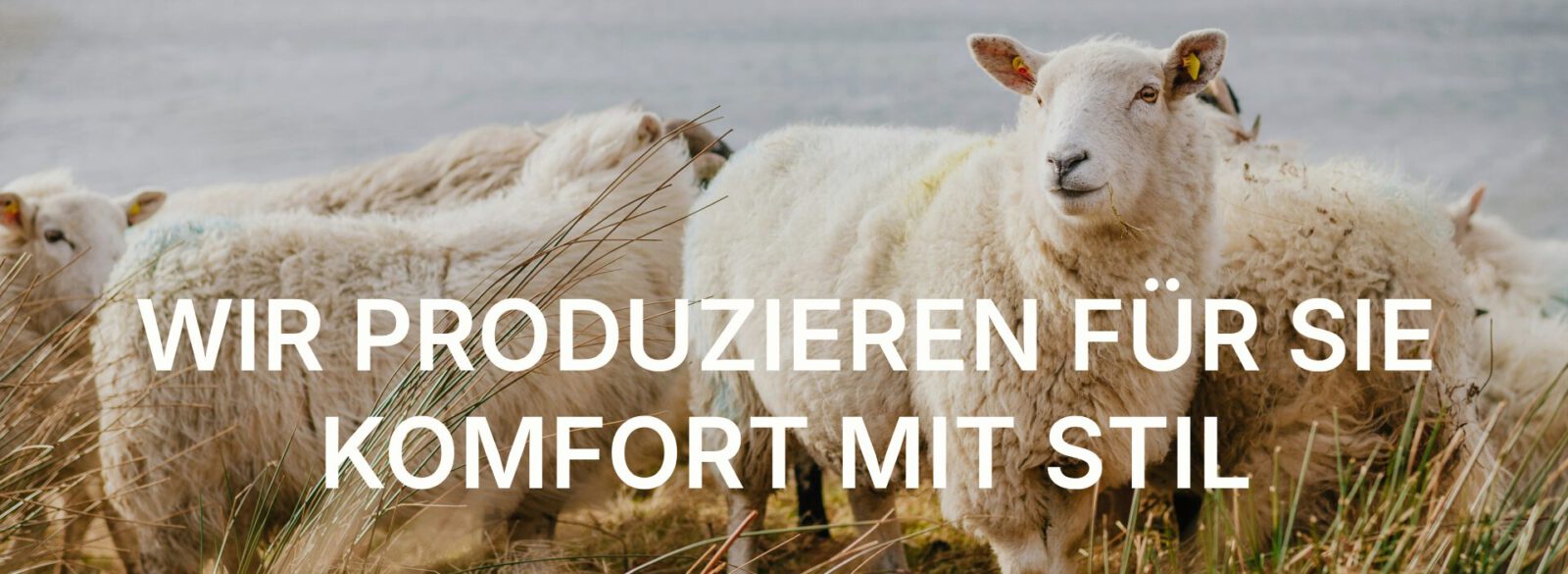 Wolldecken und Wollplaids